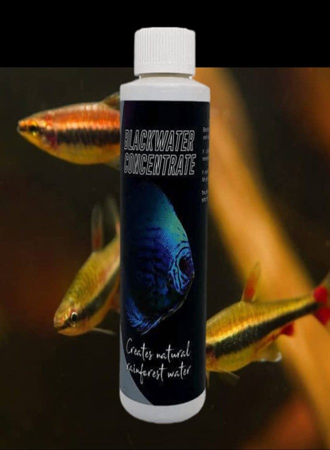 مركز المياه السوداء من أكواتيك ريميديز | يُنتج مياه غابات مطيرة طبيعية (120 مل) - Image 1